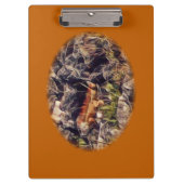 Oranje Guana Kunst Klembord (Voorkant)