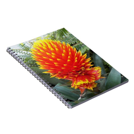 Oranje Guzmania Conifera Tropical Floral Notitieboek (Rechterzijde)