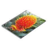 Oranje Guzmania Conifera Tropical Floral Notitieboek (Linkerzijde)