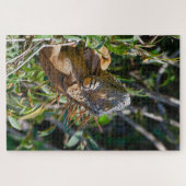 Oranje hagedis, Belize Iguana Legpuzzel (Horizontaal)