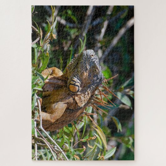 Oranje hagedis, Belize Iguana Legpuzzel (Verticaal)
