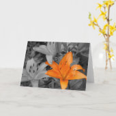 Oranje hand-Gekleurde Lelie Kaart (Gele Bloem)