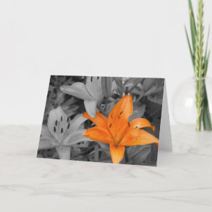 Oranje hand-Gekleurde Lelie Kaart