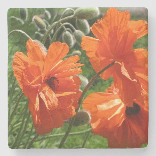 Oranje Harvest Moon Oriental Poppies Stenen Onderzetter (Voorkant)