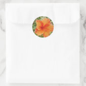 oranje Hawaii hibiscus-plant Ronde Sticker (Tas)