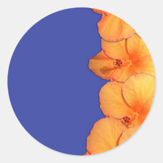 Oranje Hawaiian Hibiscus Flowers Ronde Sticker
