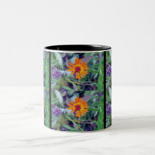 Oranje Hawkweed 1 Mok