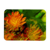 Oranje Hawkweed Blossom Abstract Impressionisme Magneet (Horizontaal)