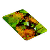 Oranje Hawkweed Blossom Abstract Impressionisme Magneet (Rechterzijde)