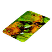 Oranje Hawkweed Blossom Abstract Impressionisme Magneet (Linkerzijde)