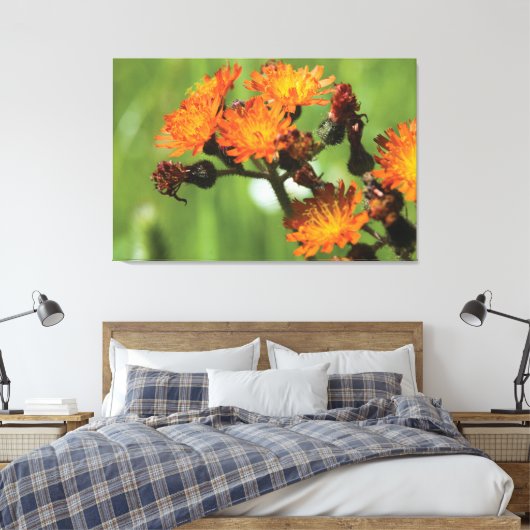 Oranje Hawroed - Wilde Dingen Fotografie Canvas Afdruk (Insitu (Slaapkamer))