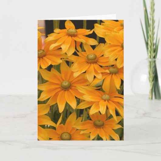 Oranje heerlijkheid kaart (Voorkant)
