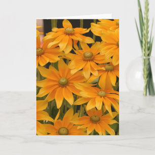 Oranje heerlijkheid kaart