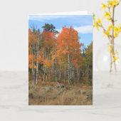 Oranje Herfst Aspen All Occasion Wenskaart Kaart (Gele Bloem)