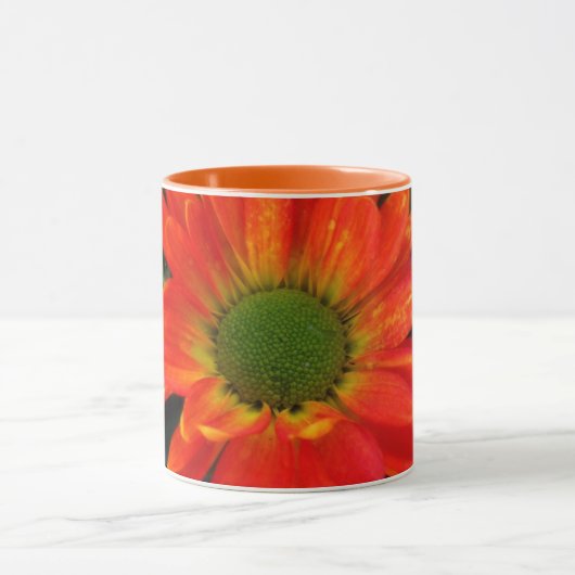 Oranje herfst Bloedbad Mok (Midden)