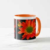 Oranje herfst Bloedbad Mok (Voorkant rechts)