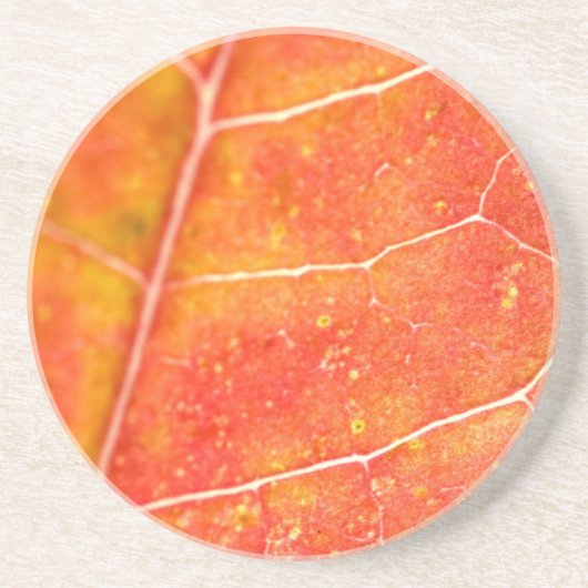 Oranje Herfst Esdorenblad Zandsteen Onderzetter (Voorkant)