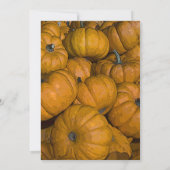 Oranje herfst pomkins Bridal Shower Invitation Kaart (Achterkant)