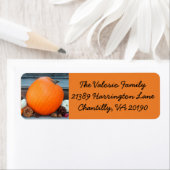 Oranje herfst Pumpkin Etiket (Insitu)