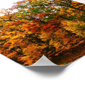 Oranje herfstbomen poster (Hoek)