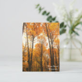 Oranje herfstbos briefkaart (Staand voorkant)