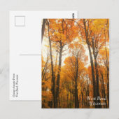 Oranje herfstbos briefkaart (Voorkant / Achterkant)
