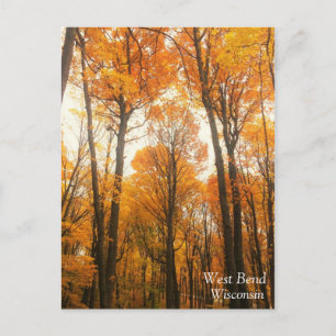 Oranje herfstbos briefkaart