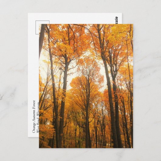 Oranje herfstbos briefkaart (Voorkant / Achterkant)