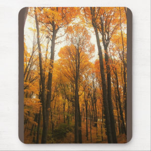 Oranje herfstbos muismat