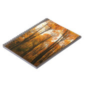 Oranje herfstbos notitieboek (Linkerzijde)