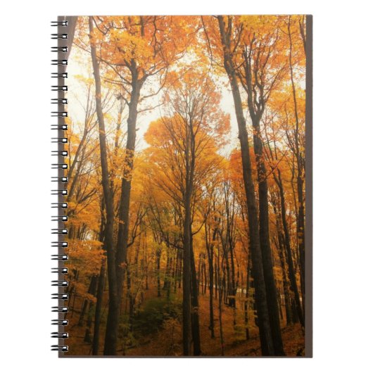 Oranje herfstbos notitieboek (Voorkant)