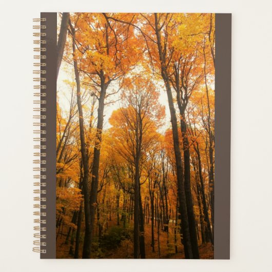 Oranje herfstbos planner (Voorkant)