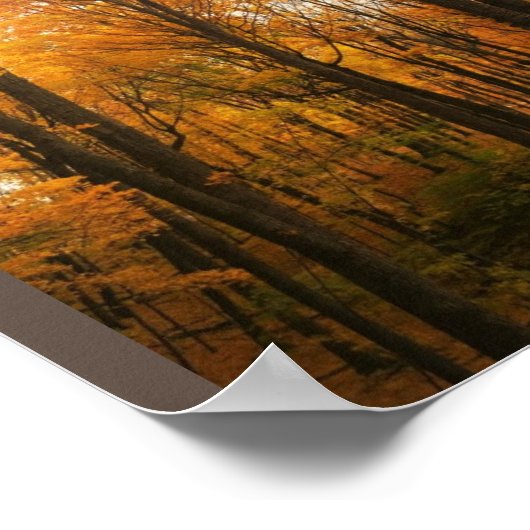 Oranje herfstbos poster (Hoek)