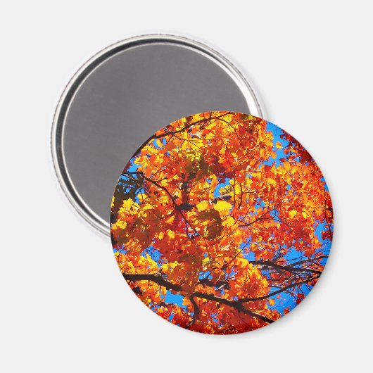 Oranje herfstfoto magneet (Voorkant / Achterkant)