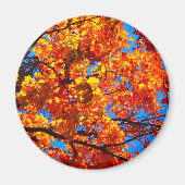 Oranje herfstfoto magneet (Voorkant)