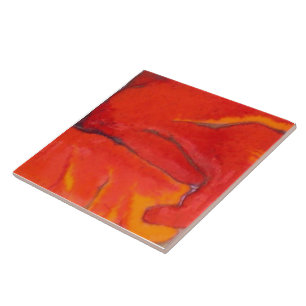 Oranje Hibiscus 7 van 12 Tegeltje