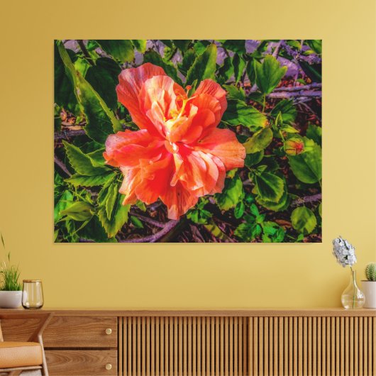 Oranje Hibiscus Beauty Canvas Afdruk (Insitu (Woonkamer))