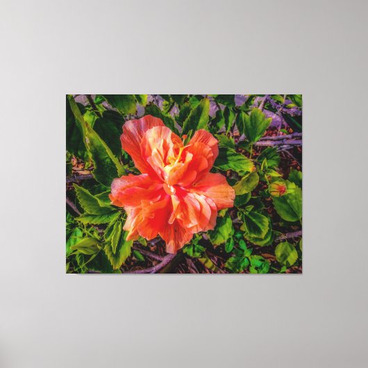 Oranje Hibiscus Beauty Canvas Afdruk (Voorkant)
