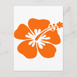 Oranje hibiscus bloem briefkaart