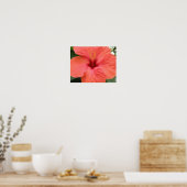 Oranje Hibiscus Bloem Macro Print (Keuken)