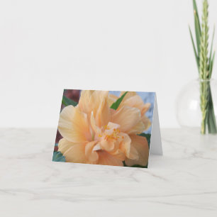 Oranje hibiscus - bloem op een dankjewel bedankkaart