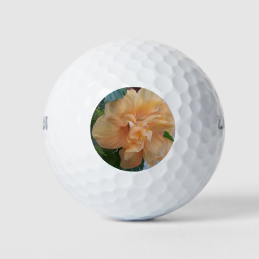 Oranje hibiscus bloem op een golfbal golfballen (Voorkant)