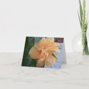 Oranje hibiscus-bloem op een losse inktpatroon kaart