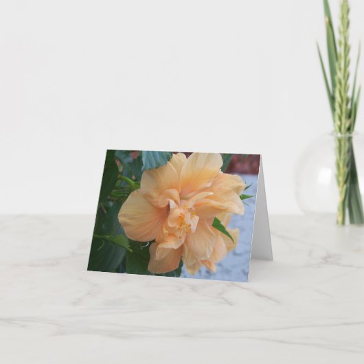 Oranje hibiscus-bloem op een losse inktpatroon kaart (Voorkant)