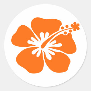 Oranje hibiscus bloem ronde sticker