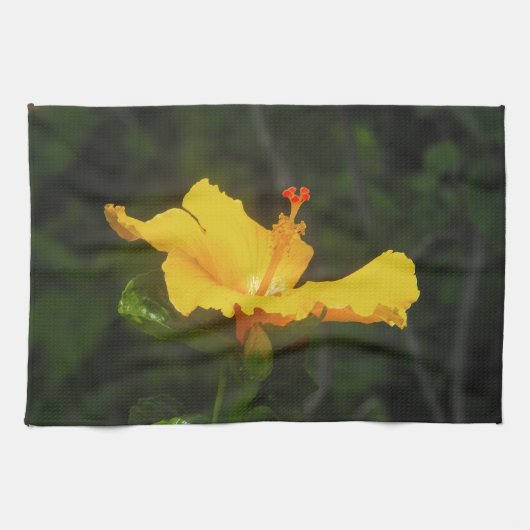 Oranje Hibiscus Bloem Theedoek (Horizontaal)