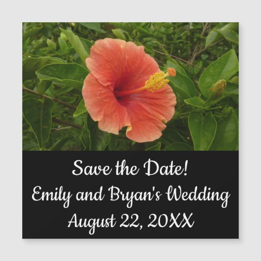 Oranje Hibiscus Bloem Tropische Floral (Voorkant)