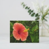 Oranje Hibiscus Bloem Tropische Floral Briefkaart (Staand voorkant)
