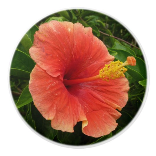 Oranje Hibiscus Bloem Tropische Floral Keramische Knop (Voorkant)
