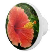 Oranje Hibiscus Bloem Tropische Floral Keramische Knop (Rechts)